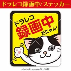 ドライブレコーダー ステッカー 録画中 ドラレコ 猫 ハチワレ 車用 シール