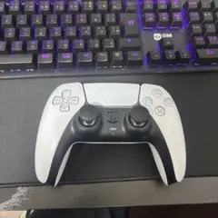 エビルコントローラー ホワイト/ブラック