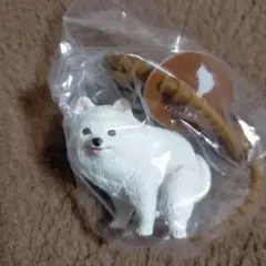 ふんばりーぬ どこでもふんばりーぬ ガチャ