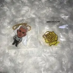 ELLY STARS セット