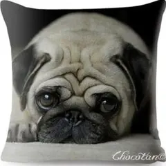 Item thumbnail for item 556d8ebe-4c09-4041-a1c0-ce46df7fbfd6