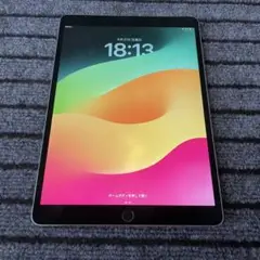 45【早い者勝ち】 iPad Pro 10.5 64GB SIMフリー グレイ