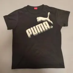 PUMA 黒 Tシャツ　150cm プーマ