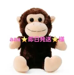 aaa⭐️即日発送⭐️様せん