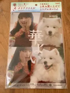 与田祐希　非売品　クリアファイル　乃木坂46 サモエド　キリン　華よい
