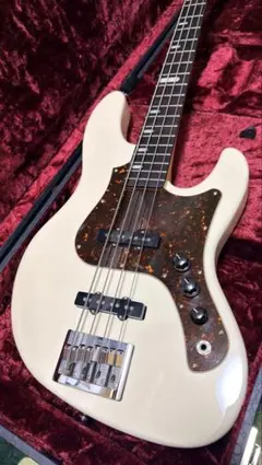 星条旗さまお取置き中(1月31日迄)フジゲンエレキギター 2026年最新】エレキギター フジゲンの人気アイテム - メルカリ