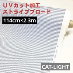 Item thumbnail for item 12afb11b-0416-4c39-bf57-ef552eda2a25