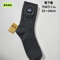 【匿名】靴下屋 パイロットうなりくん レディースソックス 千葉県成田市のサムネイル