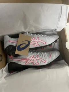 ASICS DS LIGHT ACROS 3 28.0cm