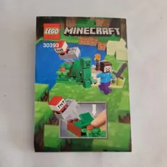 マイクラ　レゴ　30393