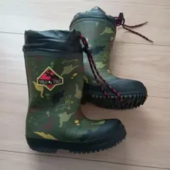 Item thumbnail for item 0fe34e48-da5c-410e-9715-9f7072c8d385