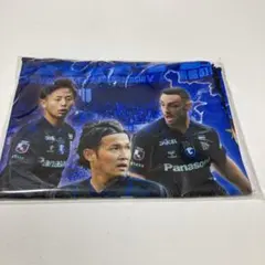 ガンバ大阪　クールタオル