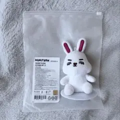 SEVENTEEN セブチMINITEEN チェチェリー マグネットキーホルダー