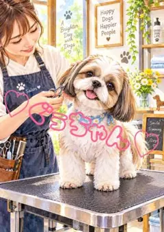 《一点限り》シーズー トリミング サロン 犬