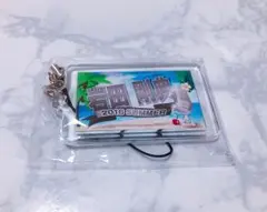 岩田剛典ネームキーホルダー