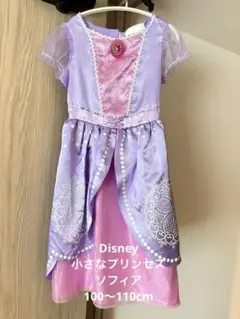 Disney ちいさなプリンセス ソフィア コスチューム 100-110