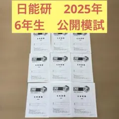 2026年最新】日能研 公開模試 6年 アンサーガイドの人気アイテム