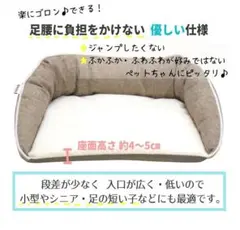 Item thumbnail for item 47e27751-6dd6-466b-bd79-efdc162f4cd3