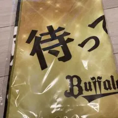 Item thumbnail for item e2b3cde4-62b4-4a7a-b2ec-755eff038b71