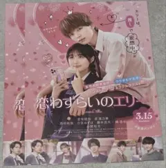 映画 恋わずらいのエリー フライヤー 2枚セット - メルカリ