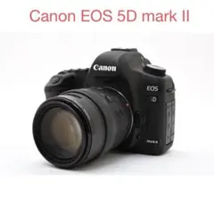 2026年最新】canon eos 5d mark ii レンズの人気アイテム - メルカリ