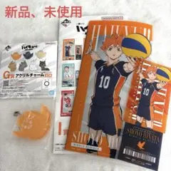 ハイキュー!! 一番くじ　最強の挑戦者　I賞＆G賞　日向翔陽