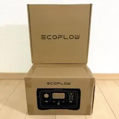 EcoFlow RIVER 2 ポータブル電源　専用バッグ付