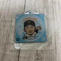 ジャイアンツ ガチャガチャ 横川凱