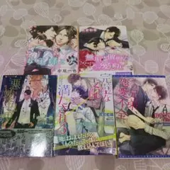 無垢で傲慢な愛し方　bl小説　まとめ売り