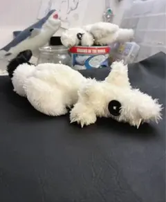 Item thumbnail for item d5b0fd68-b251-4330-8bac-1c0c825bd111