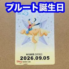 ディズニー リゾートライン フリーきっぷ 25周年 プルート 誕生日