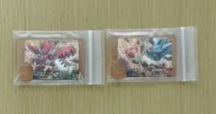 ポケモンフレンダ　ベストタッグ5弾　レガシーピック2枚セット