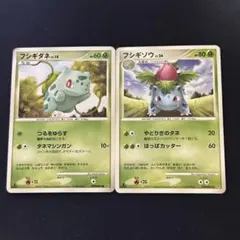 withyakyu様 リクエスト 2点 まとめ商品