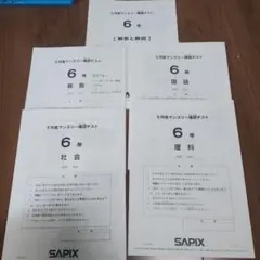 2026年最新】5年4月マンスリーテストの人気アイテム - メルカリ