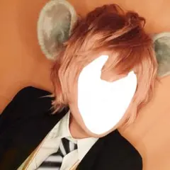 ツイステ　ラギー　ウィッグ