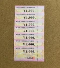 ビックカメラ コジマ 株主優待券セット 11000円分