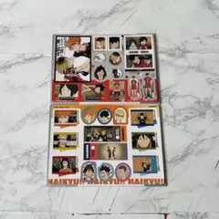 ハイキュー ゴミ捨て場の決戦 ジャンボシールダス