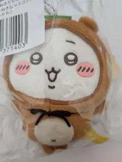 Item thumbnail for item 137eb5fe-bc45-4bef-960f-e5cc94970625