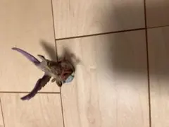 Item thumbnail for item b98b8055-9db5-4271-af63-1678d153b80a