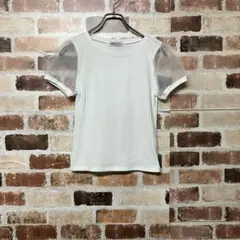 【BROWNY WEGO】オーガンジー袖切替リブ半袖Tシャツのサムネイル