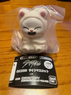 SKZOO ライトマスコット お値下げ中‼️