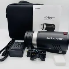 3個 プロ ストロボ ゴドックス Godox DP600Ⅱ SK400Ⅱ 3灯 - メルカリ