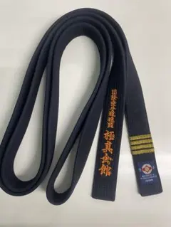 極真会館スタジャンM未着用新品空手 極真会館スタジャンM未着用新品空手 2025年最新】極真の人気