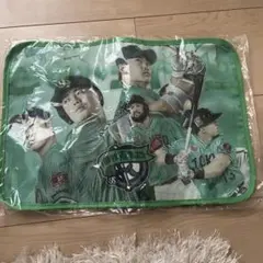 Item thumbnail for item fecee61b-c1de-452b-af83-7176485562ea