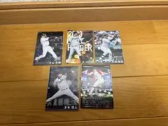 プロ野球チップス まとめ売り 阪神タイガースセット