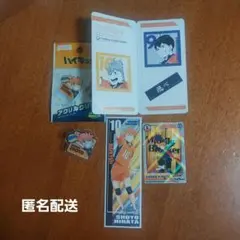 ハイキュー!!日向翔陽　セット売り