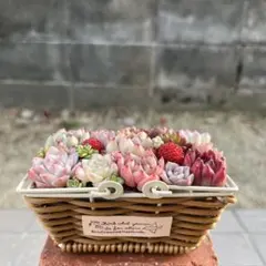 ♡そのまま飾れる♡カゴバスケット♬可愛い多肉植物寄せ植え╰(*´︶`*)╯♡