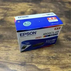 エプソン純正インク ￼IB10CL4A 2個セット - メルカリ