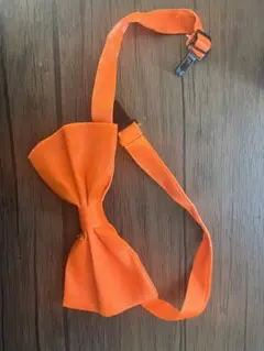 オレンジ 大人用 蝶ネクタイ