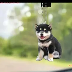 Item thumbnail for item 9121bca0-3b10-432c-95f2-4bd0f4331ce0